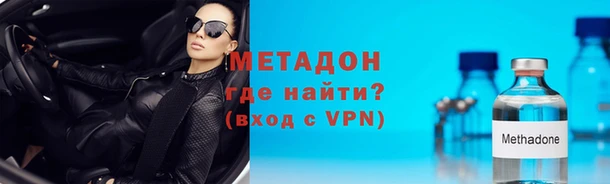 стаф Алексин