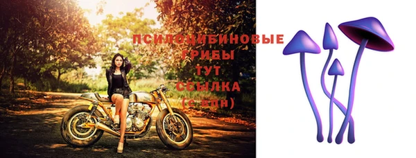 бутират Абаза