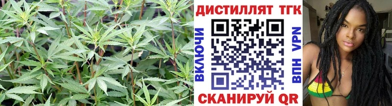Дистиллят ТГК жижа  Благовещенск 