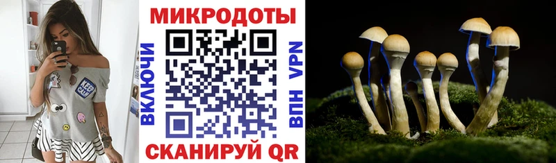 магазин Благовещенск Псилоцибиновые грибы Magic Shrooms